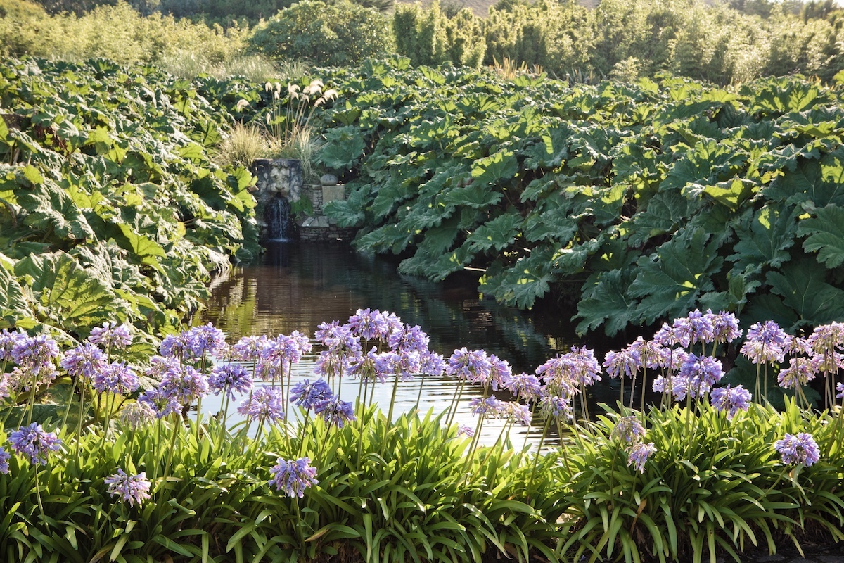 �Franck Boucourt, Jardin botanique de Vauville