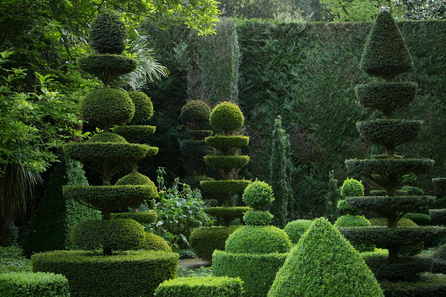 �Yannmonel, Les jardins Ch�teau de la Ballue 